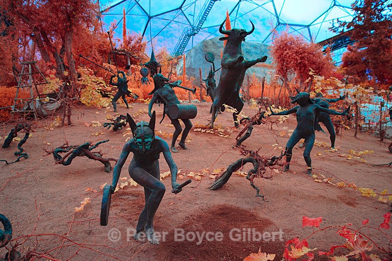After the harvest, Eden - Infrared images