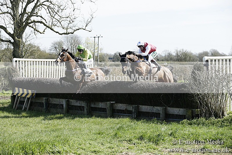 PtP 250317 29 - V.W.H. Hunt Point-to-Point Siddington 25/03/17