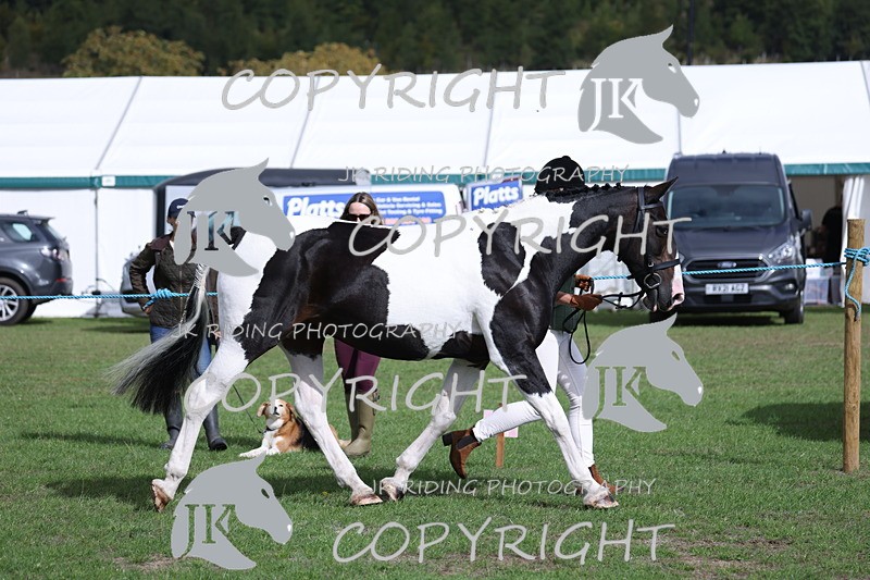 APP_2603 - Class 9 Veterans in hand