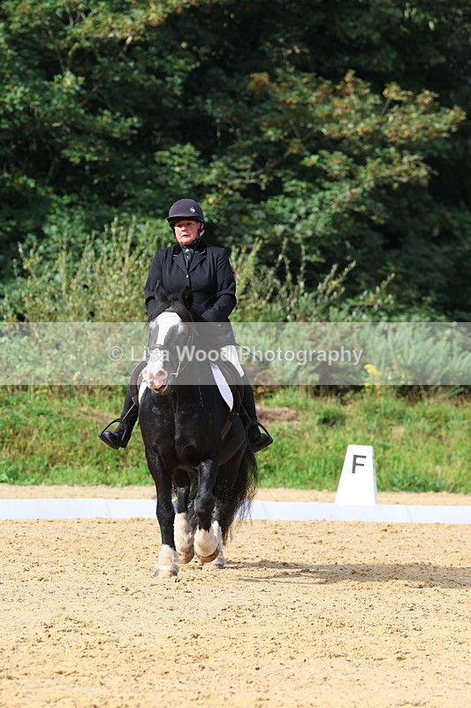 3E7A2344 - Class 1: Intro 4 2024 section A