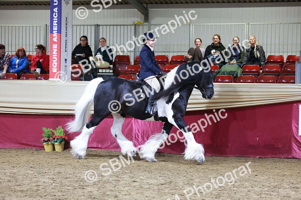 SBM_20830 - Class L - Coloured Champ