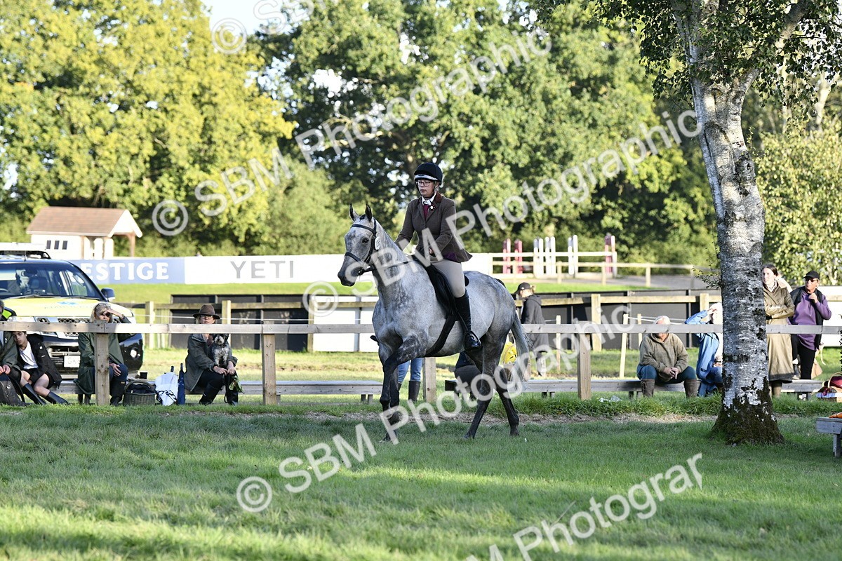 SBM_53543 - S14 - Riding Club Horse