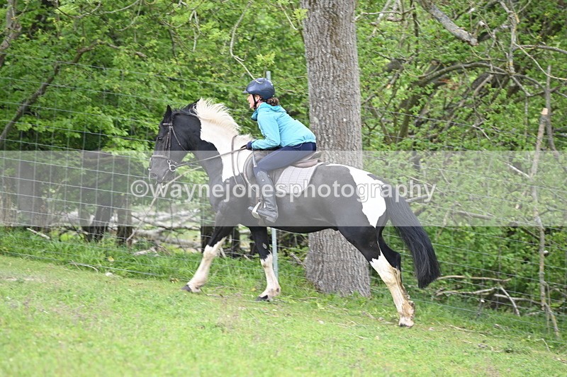 WJ6_3079 - A Camera