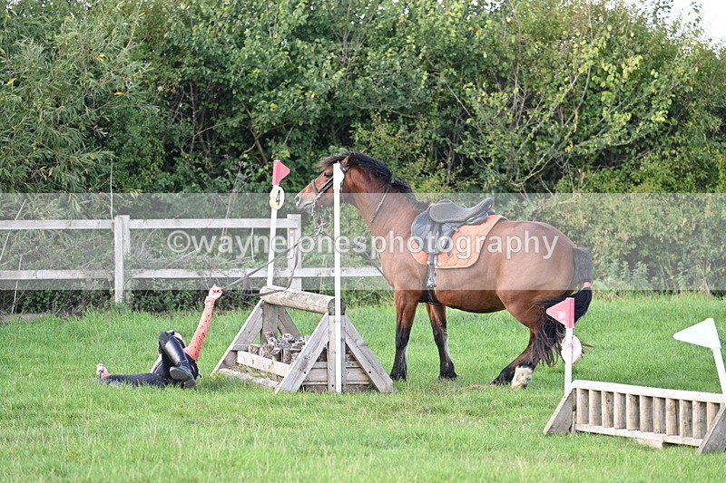 WJ7_1228 - Time 13:56 to 14:24