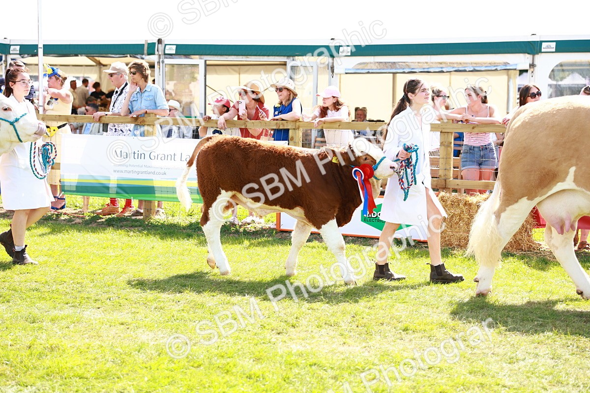 SBM_08436 - Grand Parade