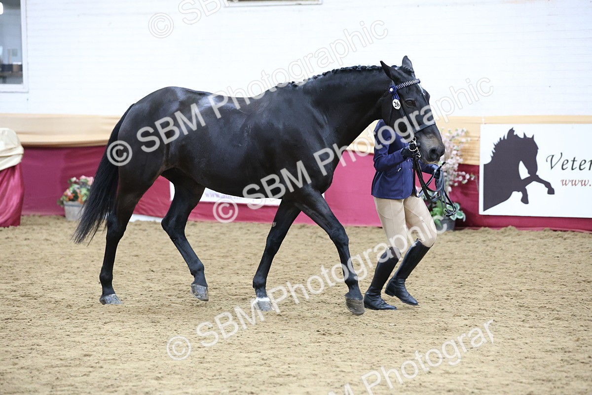 SBM_23617 - Class 904 - Supreme Final - Ridden Diamond