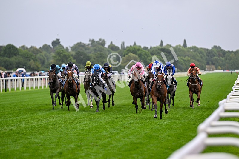 200826-Race 3-The Lost King-3338 - Race 3 15.00pm Sir Kevin Sinfield 7 In 7 Grand Finale Handicap