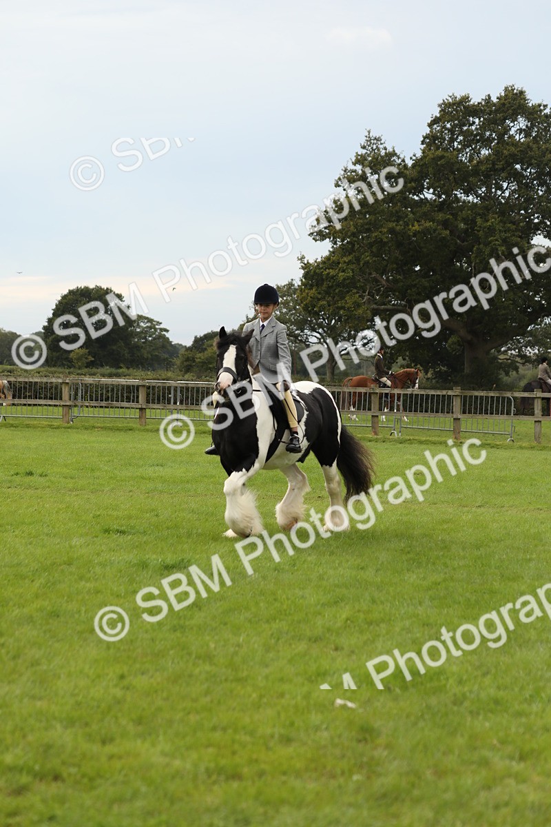 SBM_71668 - S41 - Ridden Equitation (Best Rider)