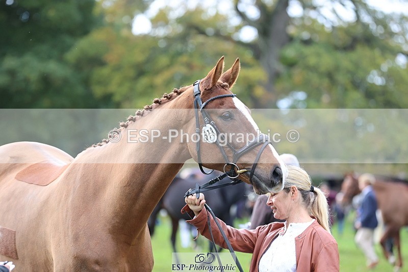 251026A-114238-25635 - G-573-Lisa.Stock