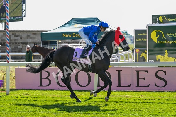 160525-Race 4-Rebels Romance-6641 - Race 4 3.45pm Boodles Yorkshire Cup Stakes