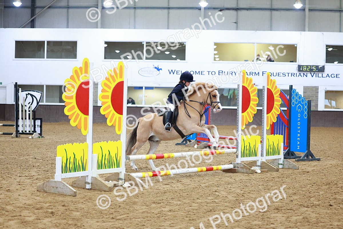 SBM_000300 - Class 19 - 50cm