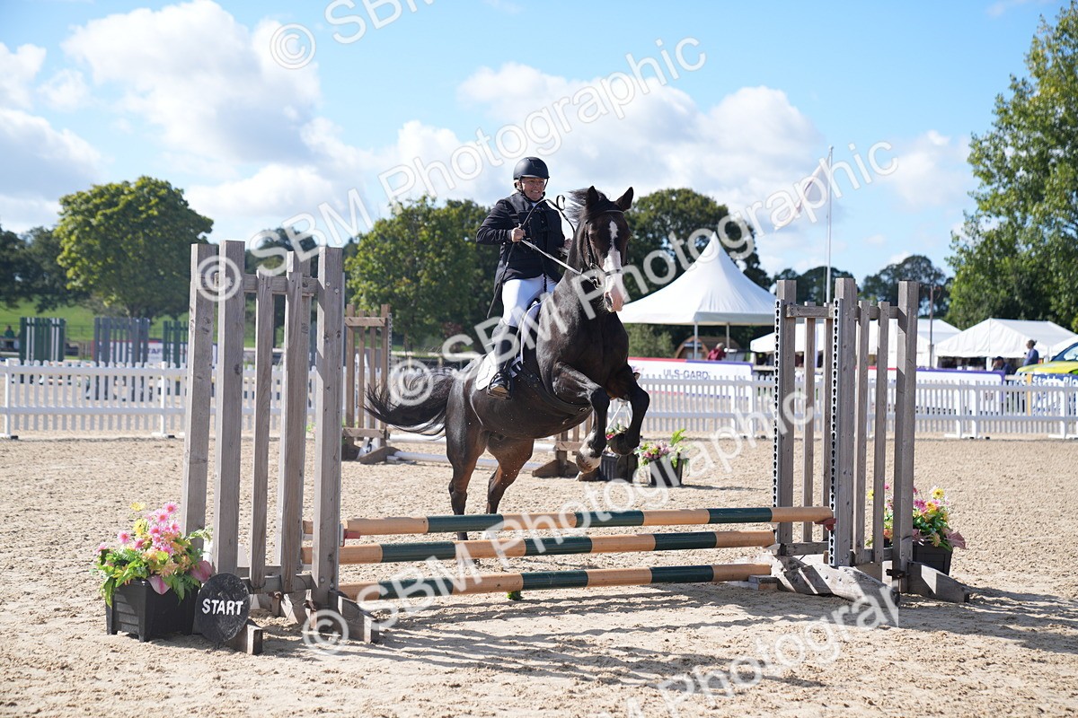 SBM_02477 - J54 Clear Round 45cm