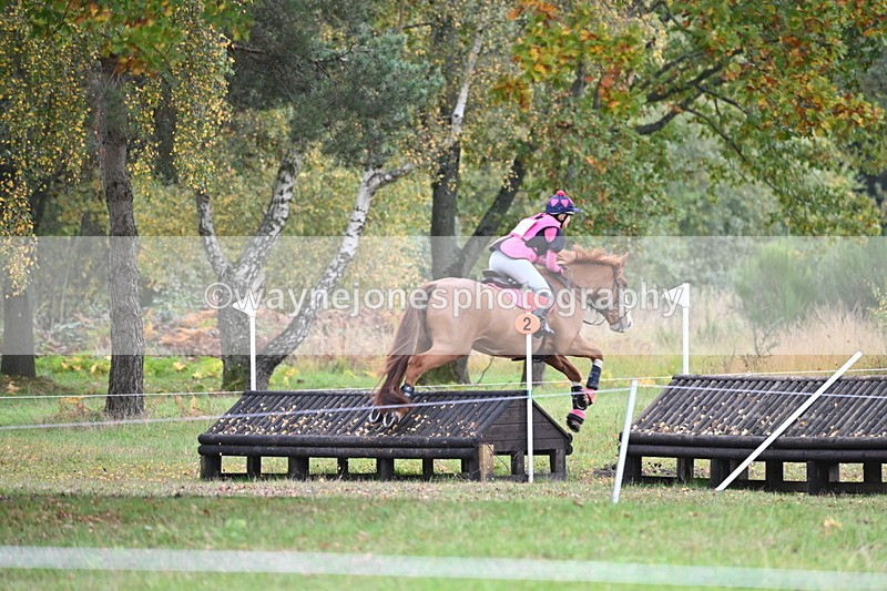 WJ6_4040 - 90cm Cam 1 Time 14:05 to 14:35