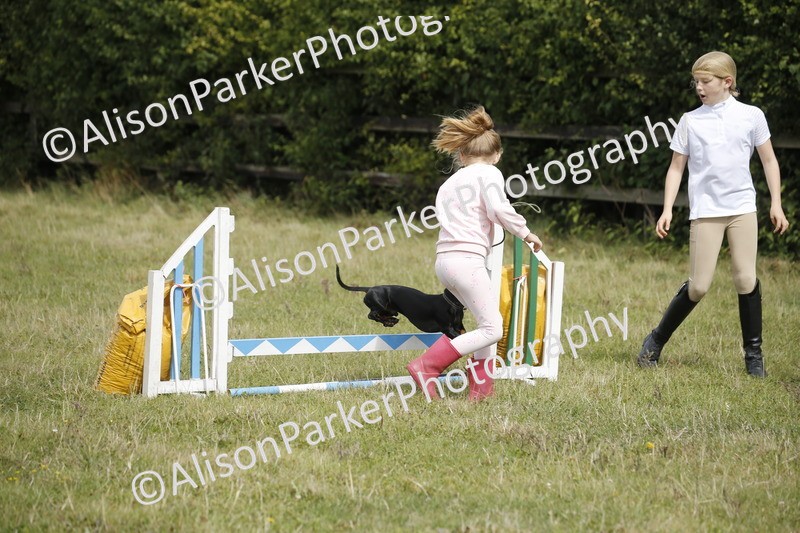 20250831-3906 - Dog Show