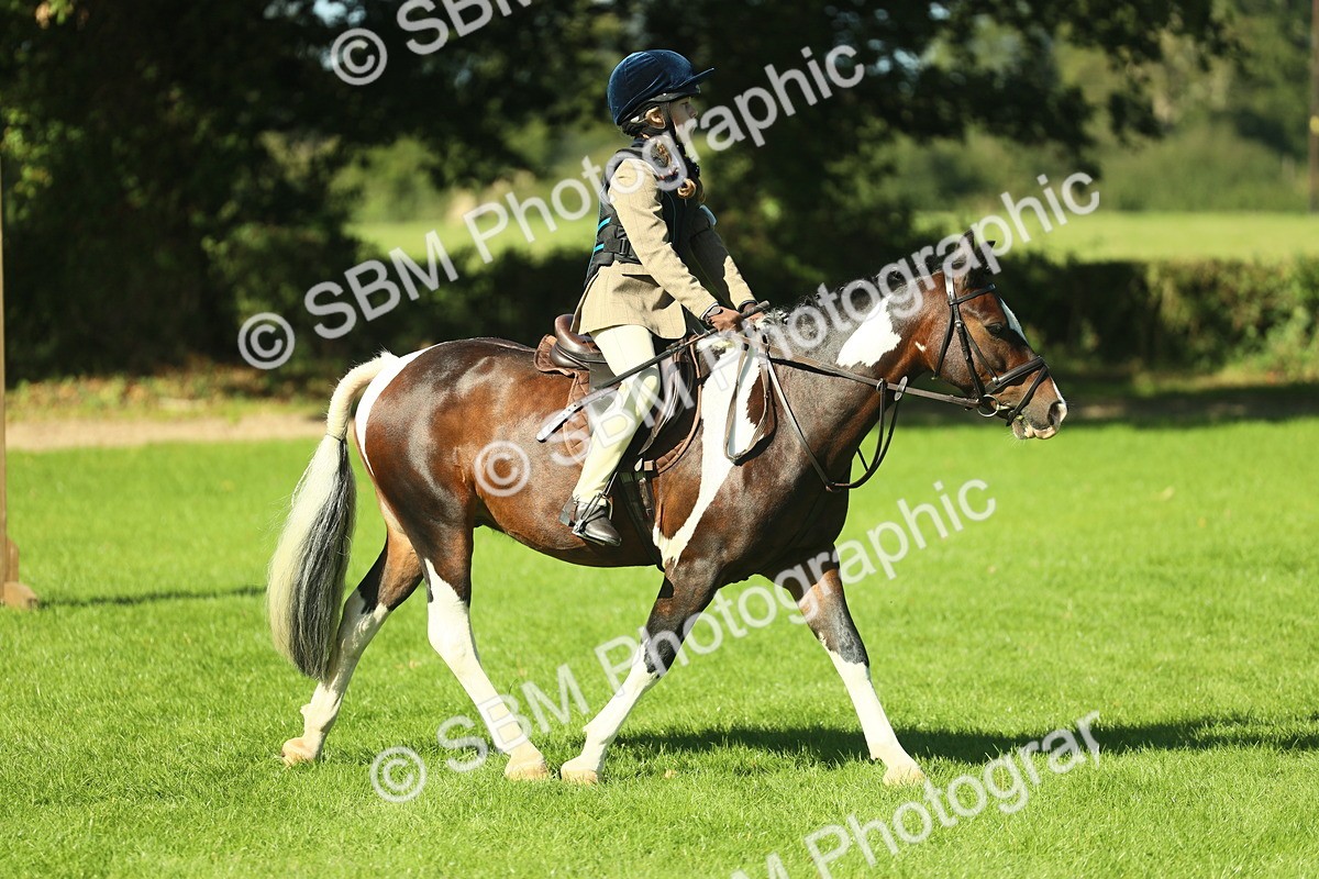 SBM_37521 - S29 - Novice & Newcomers Working Hunter Pony
