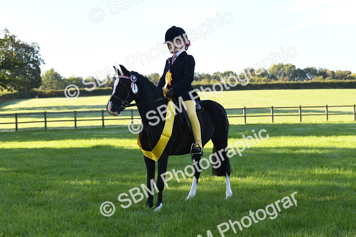 SBM_34097 - S16 - Condition & Turnout - Ridden