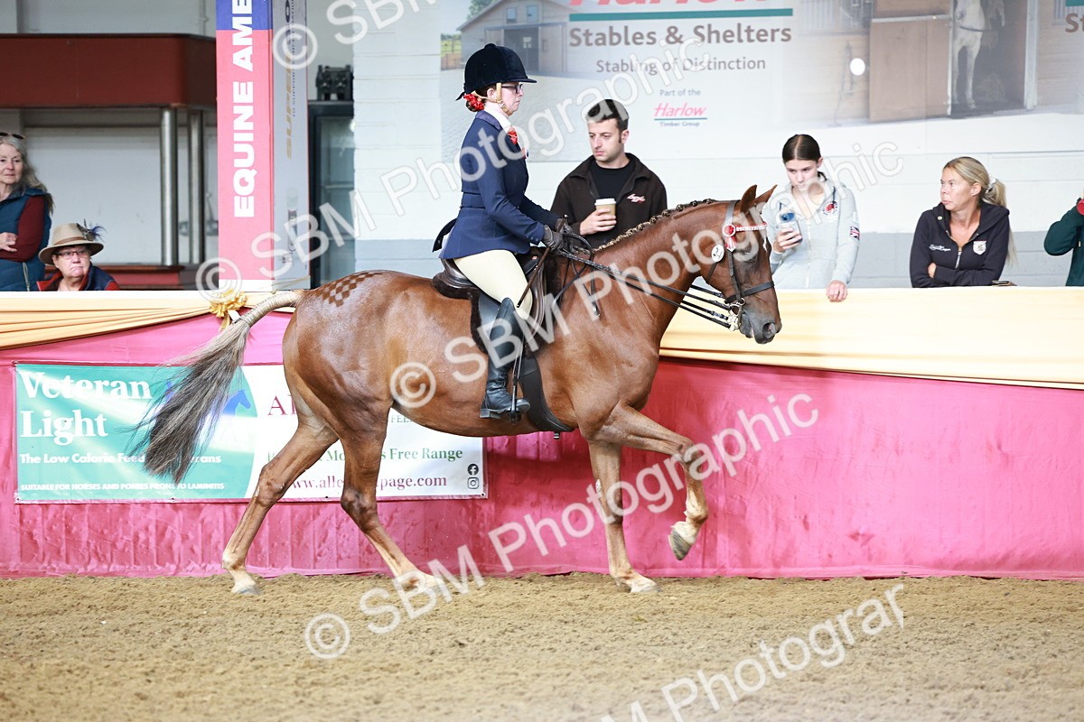 SBM_11927 - Class 102 - Equitation (Best Rider) Adult