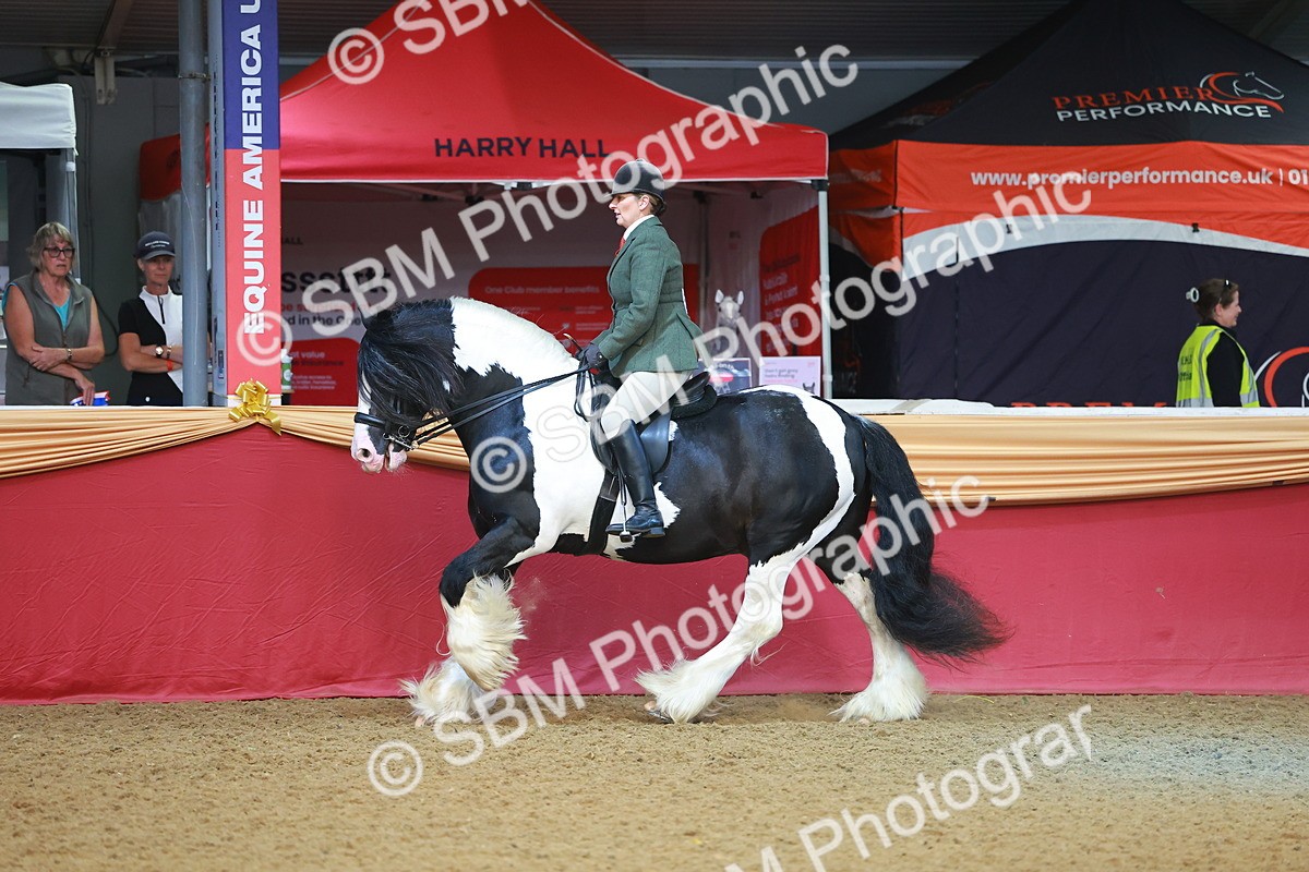 SBM_09467 - Class 102 - HOYS Veteran Qualifier - Ridden Veteran