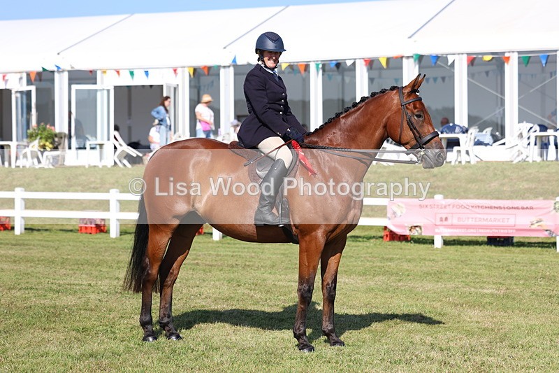 3E7A5743 - Class 2: Rising Star Large Hack/Riding Horse