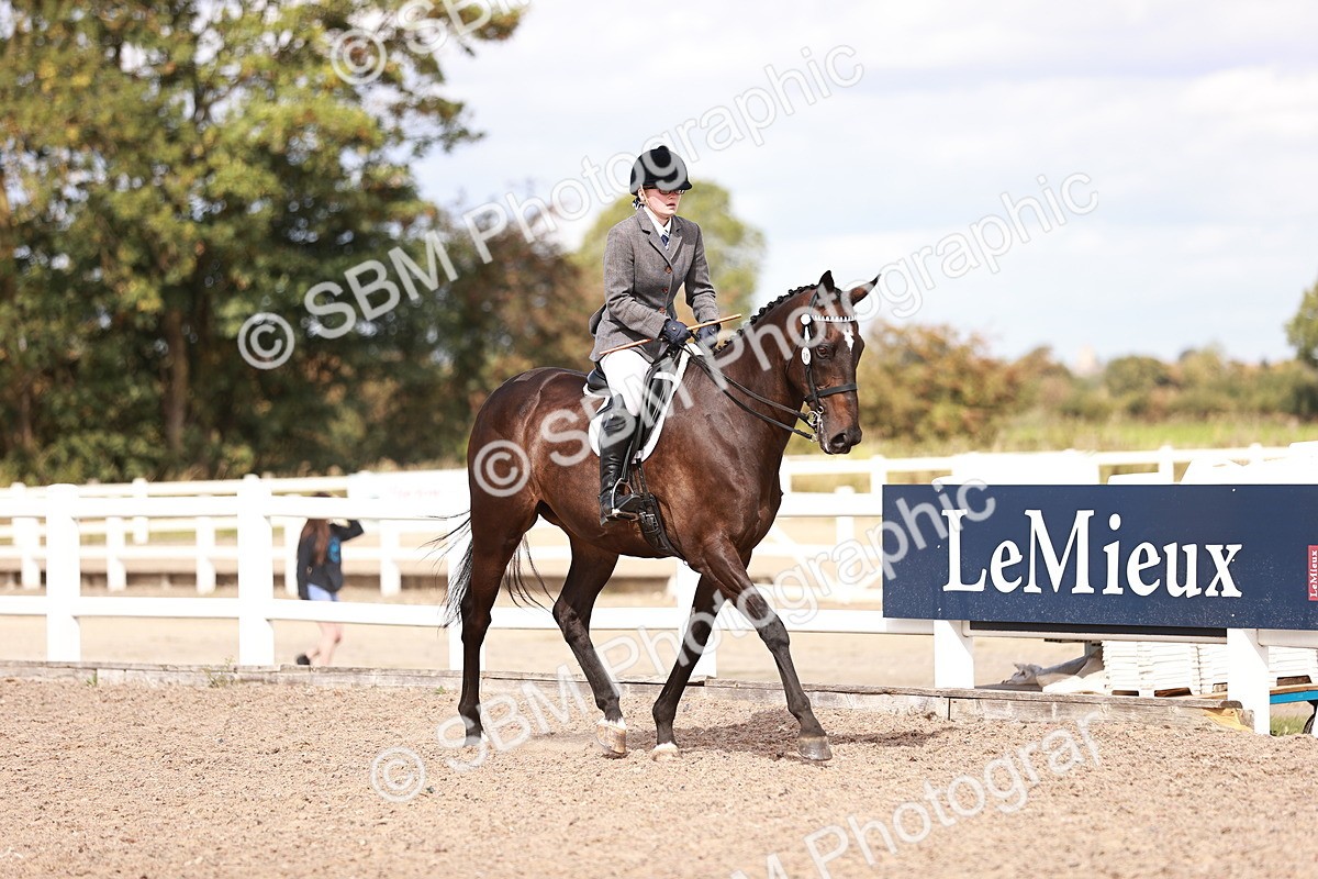 SBM_14420 - Class 410 - Grassroots Ridden - Horse
