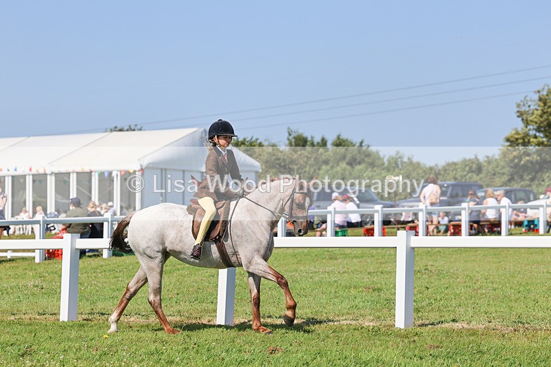 IMG_1878 - Class 33: Show Pony 148cm and under