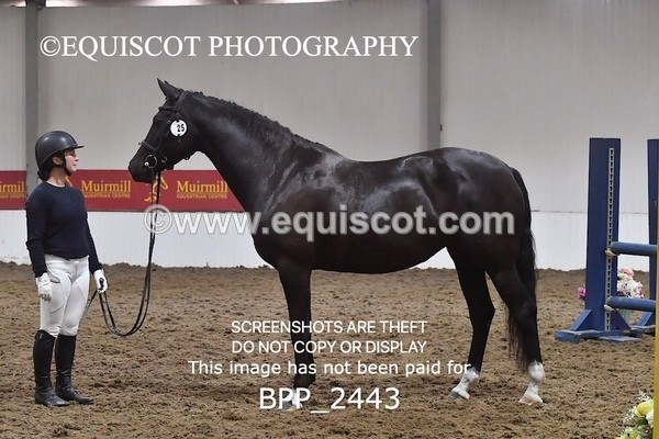 BPP_2443 - AFTERNOON 12.30 - 3.30PM