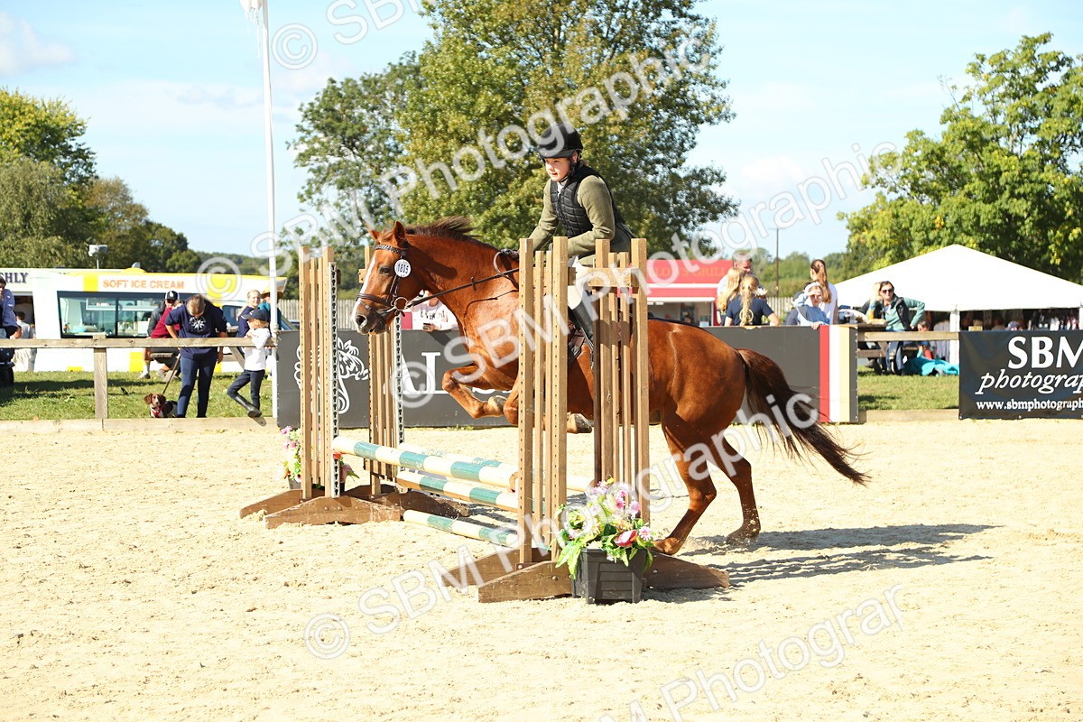 SBM_39312 - J6 - Junior Pony 55cm Championships