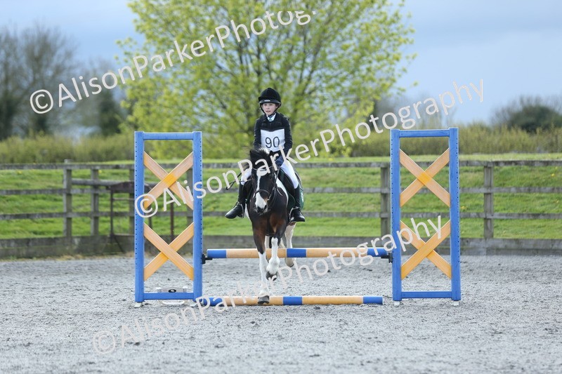 20260412-1824 - Show Jumping