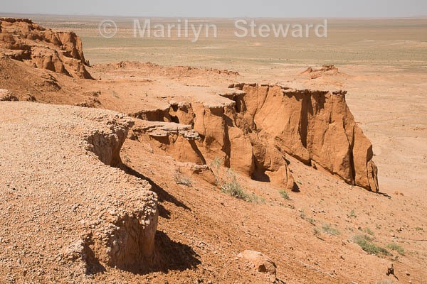 Bayanzag, 'Flaming cliffs' - Mongolia