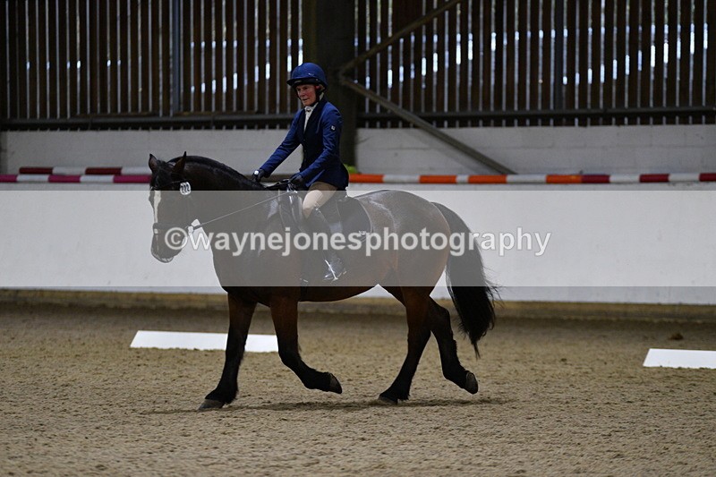 WJ5_8498 - Class 5 Novice Test 3