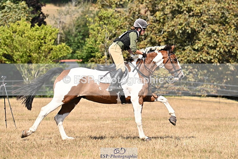 250824A-143630-37822 - 2125-Hen.Jeanes-Painted.proper