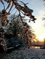 440jpg - Landscapes