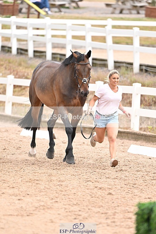 250716-143937-01267 - Trot Up 2.30 to 3.30