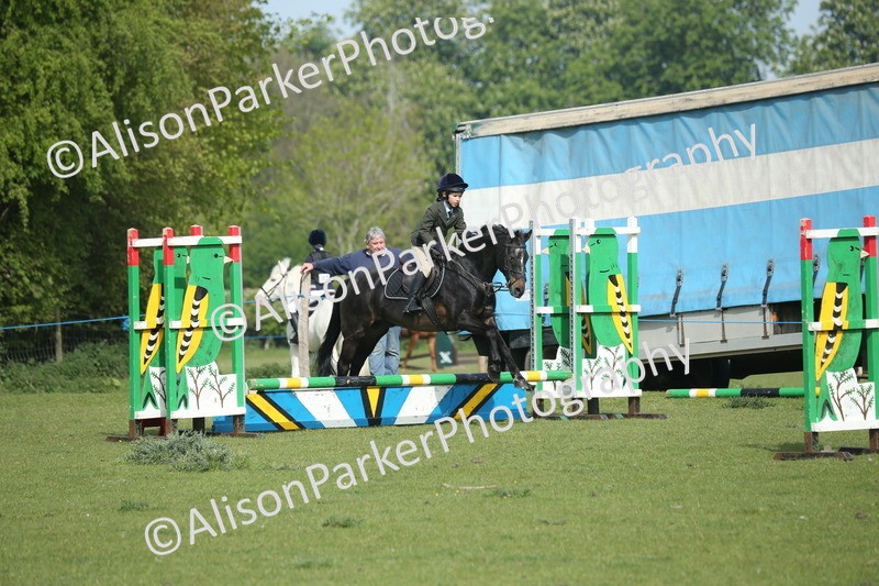 20260426-0205 - Class 13 - Rookie Jumping 50cm
