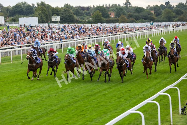 230823-Race 1-Equilateral-4041 - Race 1 1.50pm Sky Bet And Symphony Group Handicap