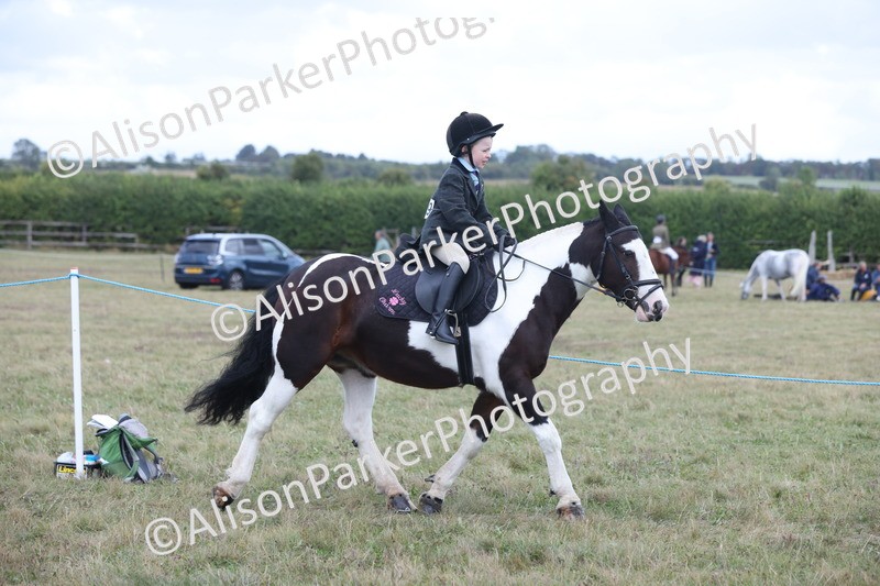 20250831-4216 - Class 20 - Ridden Coloured