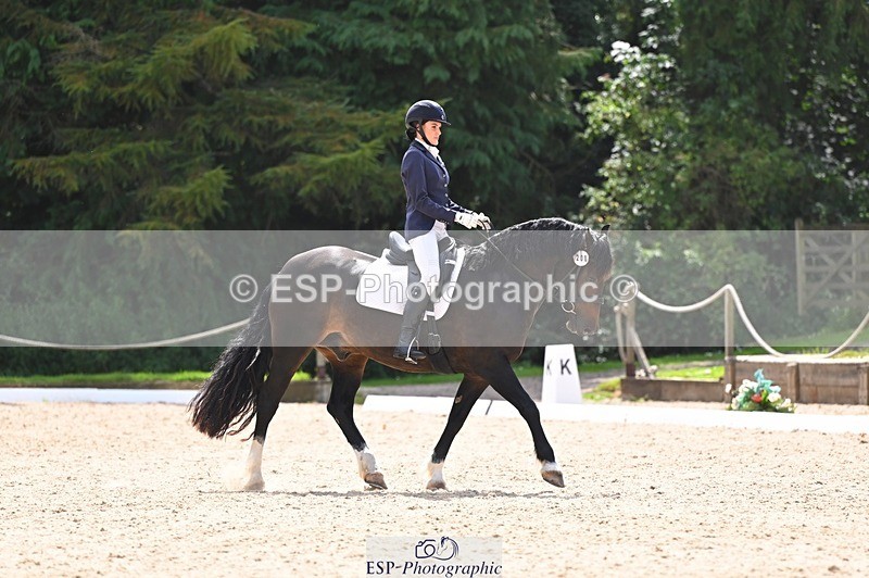 240809-141022-01780 - 200-Rebecca.Ezra-Maesmynach.Mr.Sam