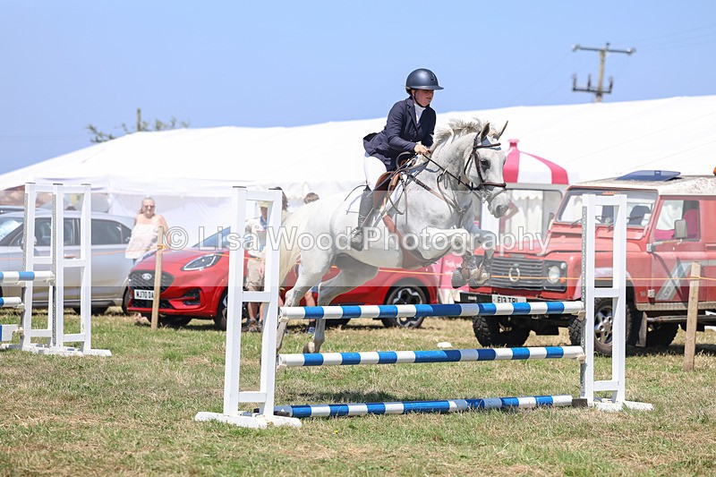 3E7A4396 - Class 10: Senior British Novice/90cm open
