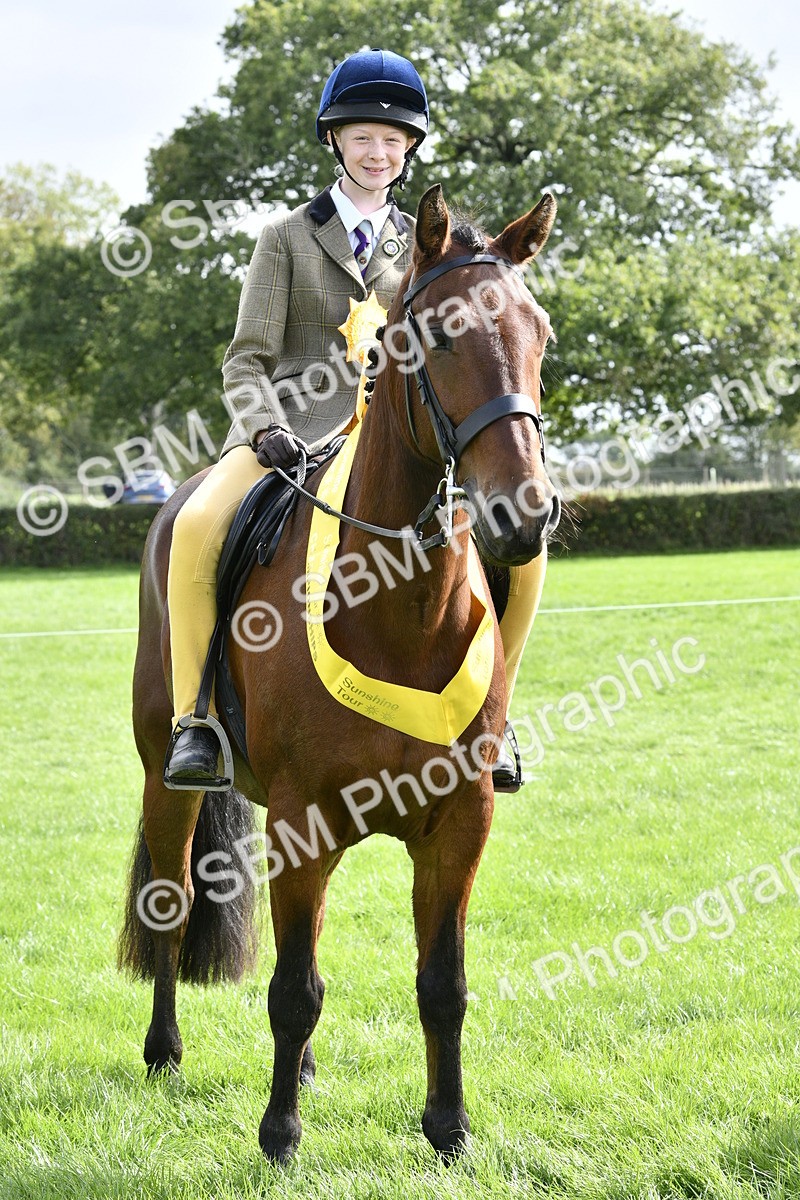 SBM_41646 - S32 - Mountain & Moorland Working Hunter Pony