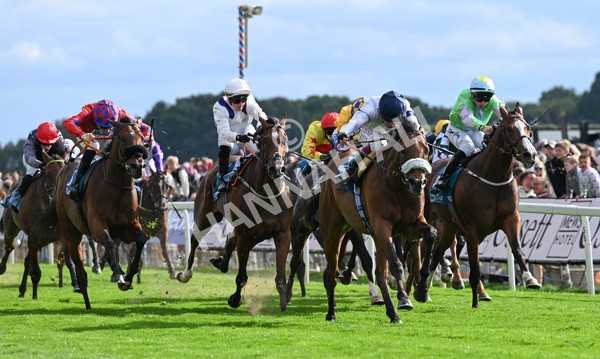 210825-201 Stellar Sunrise - Race 6 4.45pm Mews Hotel Ossett EBF Stallions Nursery Handicap