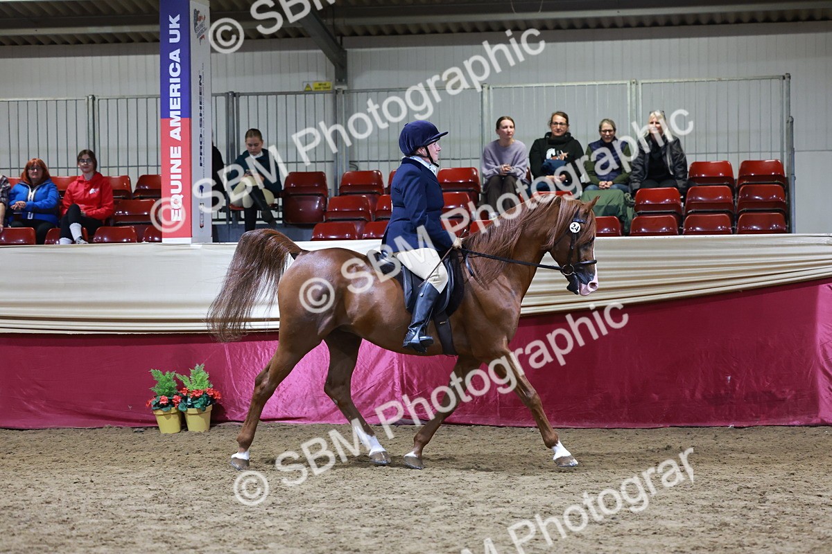 SBM_21269 - Class S - Style & Performance Champ