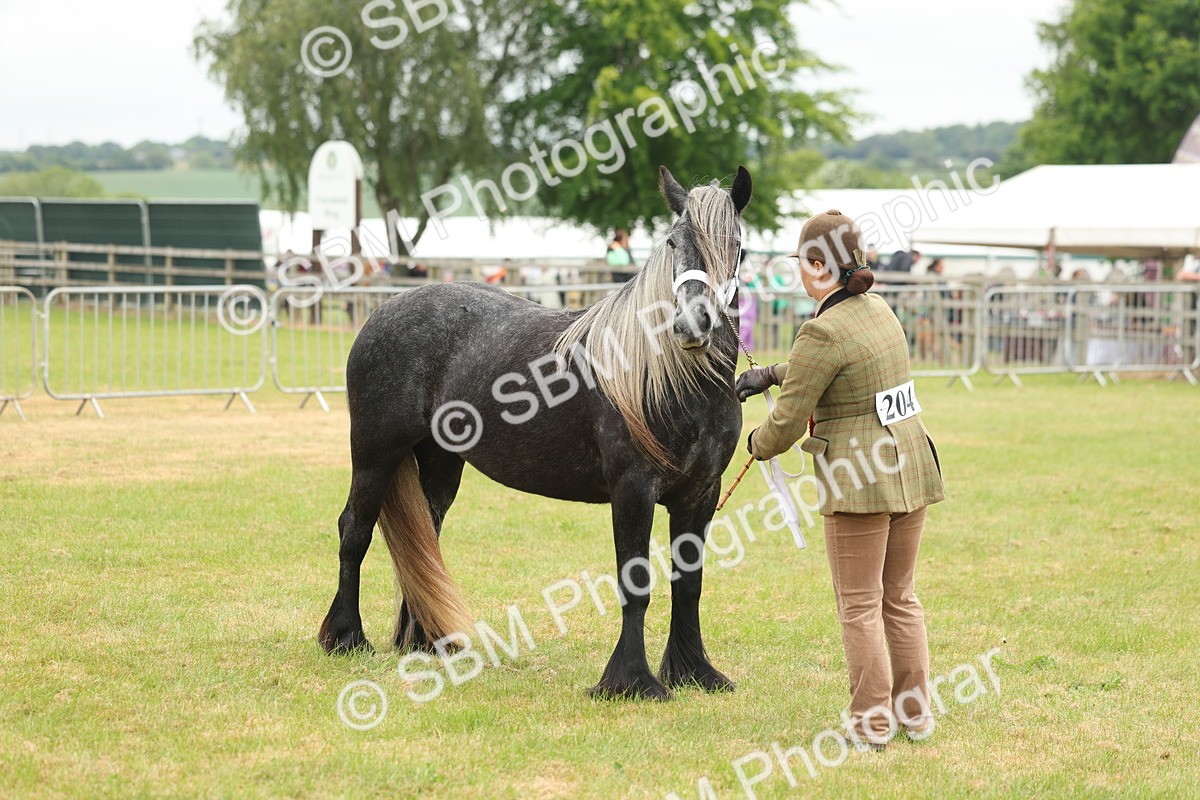 SBM_05087 - Class 50-57 - M&M Welsh Pony In Hand