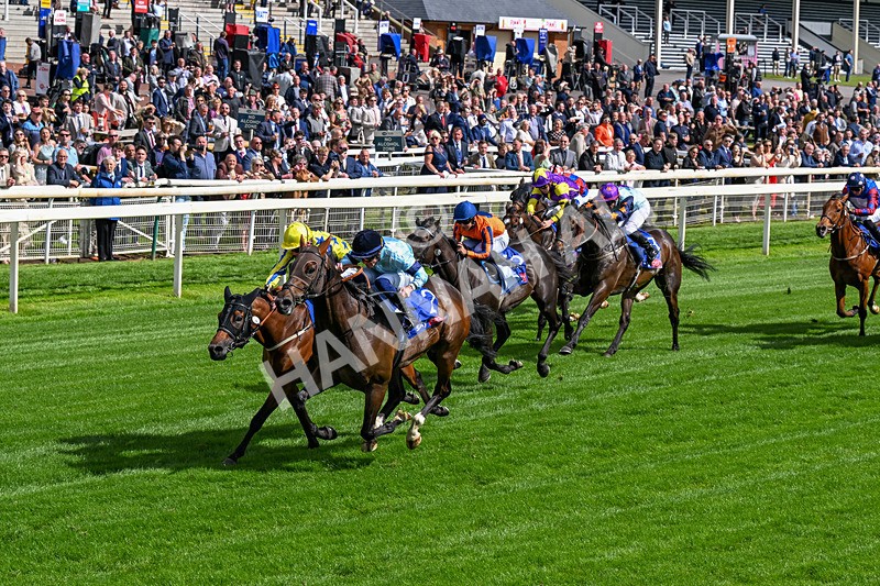 120626-Race 5-Antipodes-0294 - Race 5 16.10pm Sky Bet The World's Gone Football Handicap