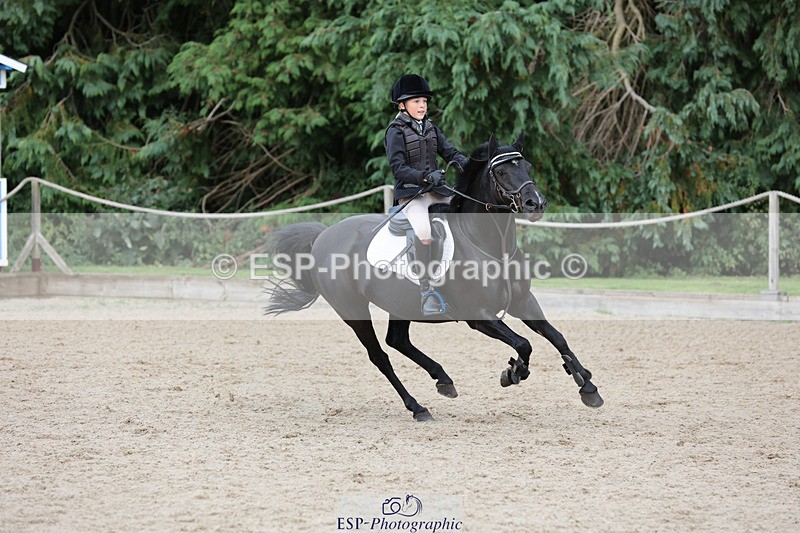 240823X-165243-19945 - 70cm Single Phase All