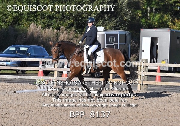 BPP_8137 - SHORT ARENA INTRO 1