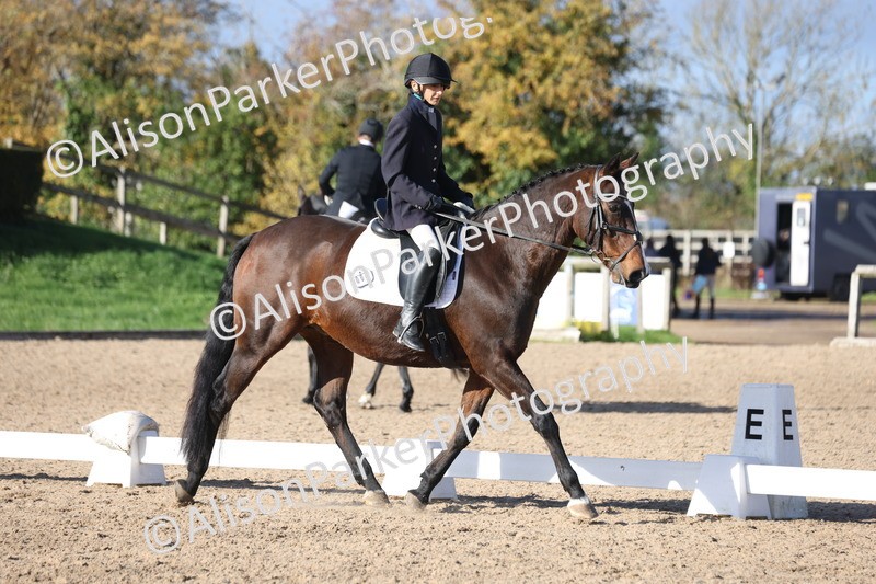 20251101-0573 - Class 4 - Novice 2