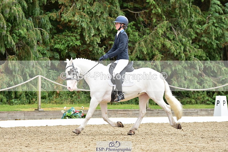 250719A-143846-06326 - 166-Ruby.Vincent-Silver.lining