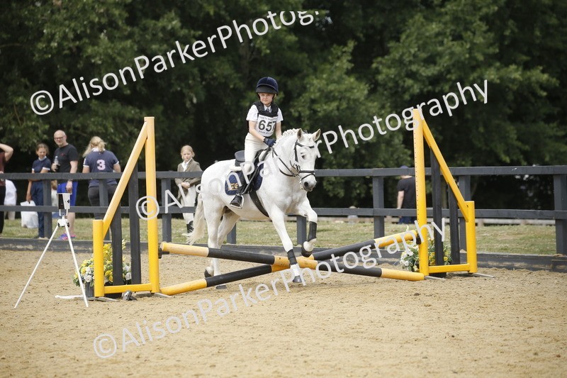 20250622-4712 - 50cm