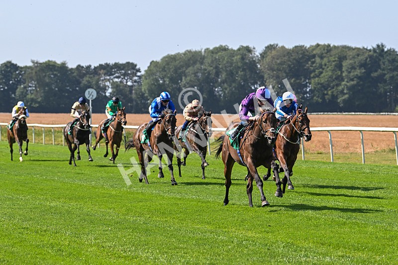 300824-Race 1-Tuscan Hills-5601 - Race 1