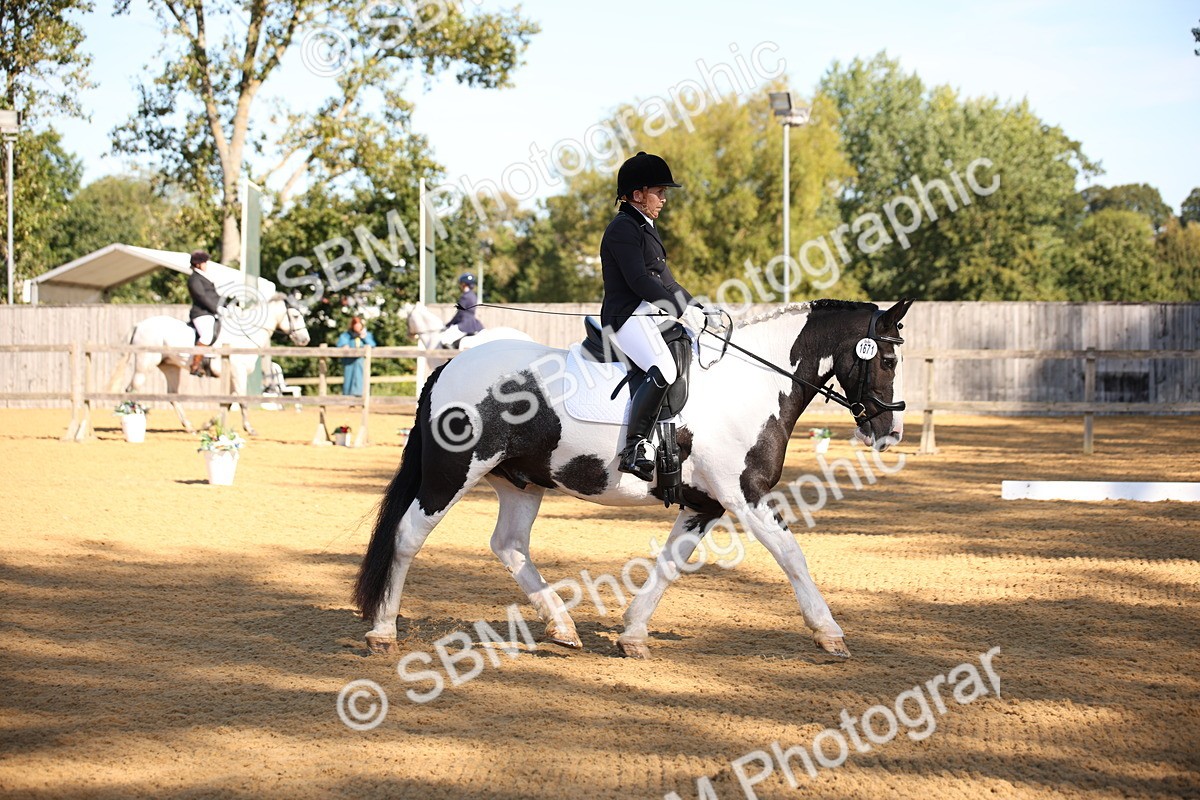 SBM_18453 - D31 - Grand Tour - PYO Open